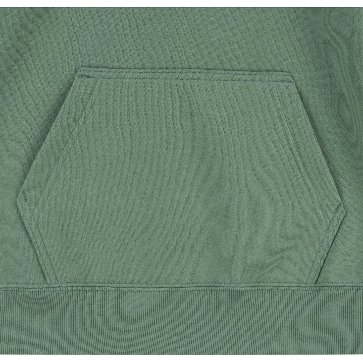 Levi's GREEN Lasso It Up Pullover Hoodie