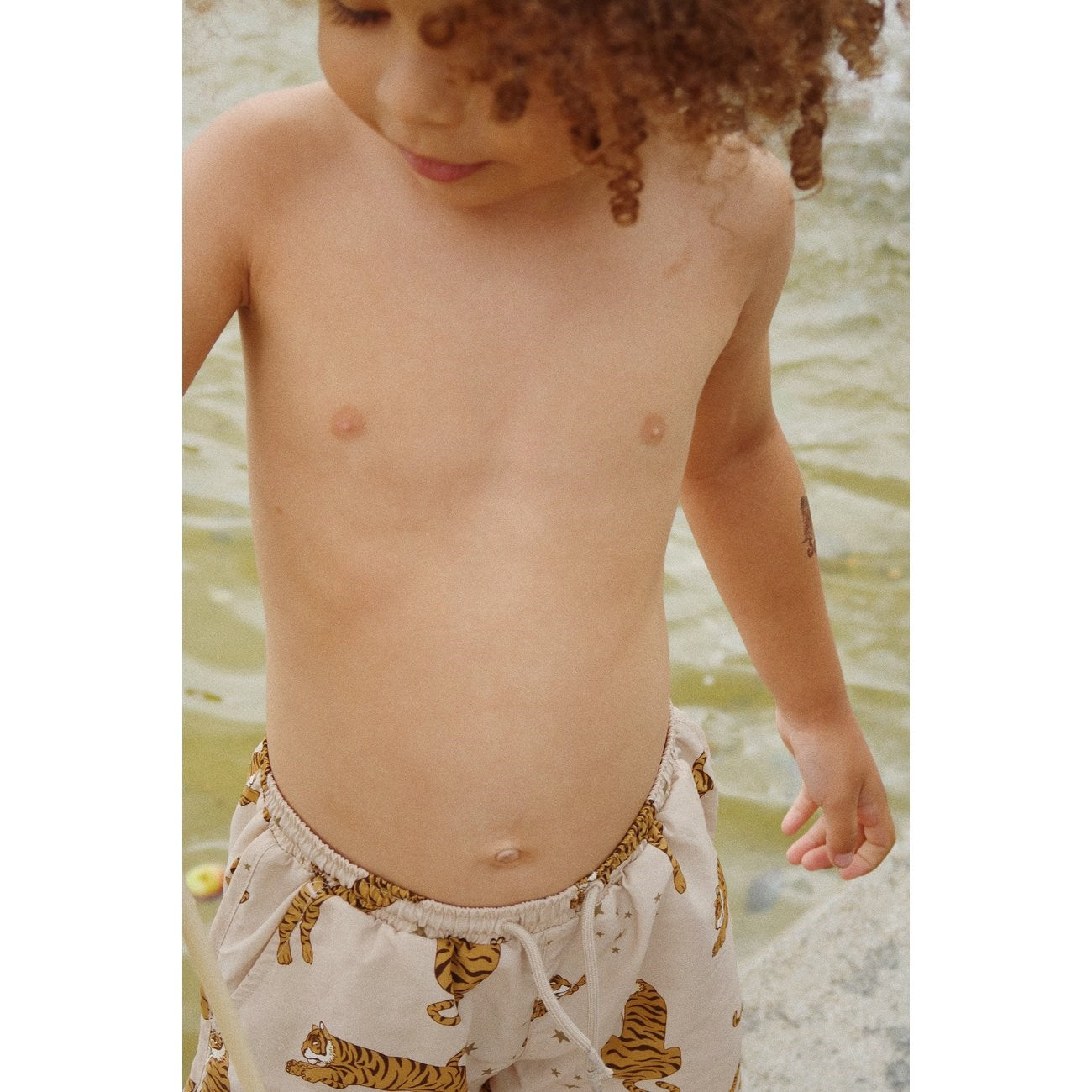 Konges Sløjd Asnou Swim Shorts Tiger