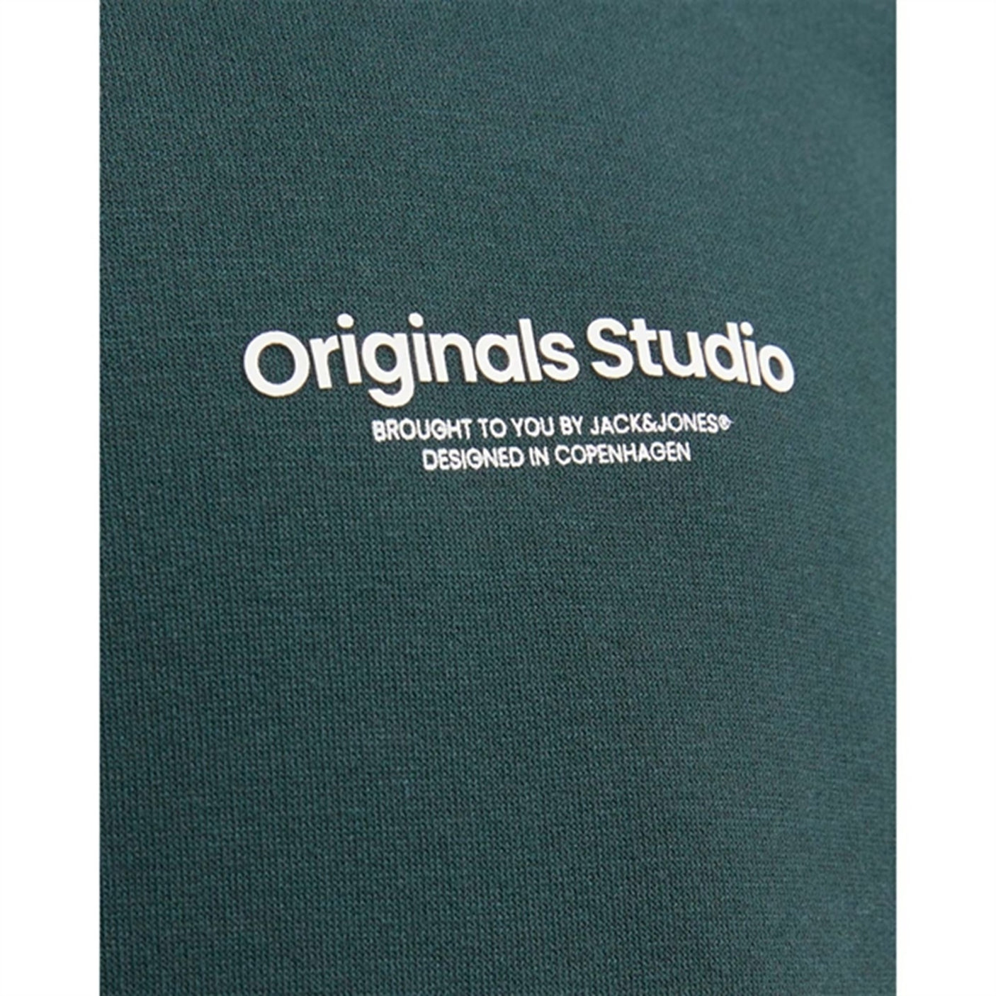 Jack & Jones Junior Magical Forest Vesterbro Sweat Hoodie Noos