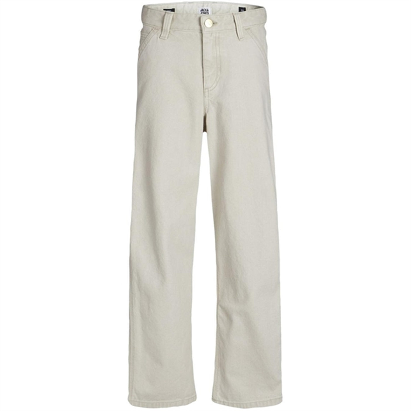 Jack & Jones Junior Moonbeam Alex Carpenter Pants