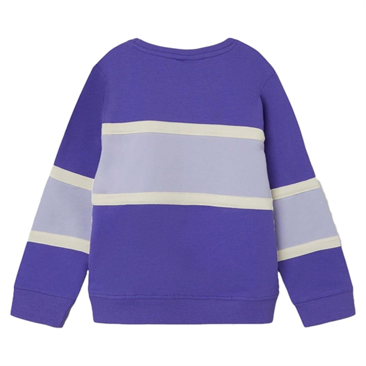 Name it Purple Corallites Barb Sweatshirt