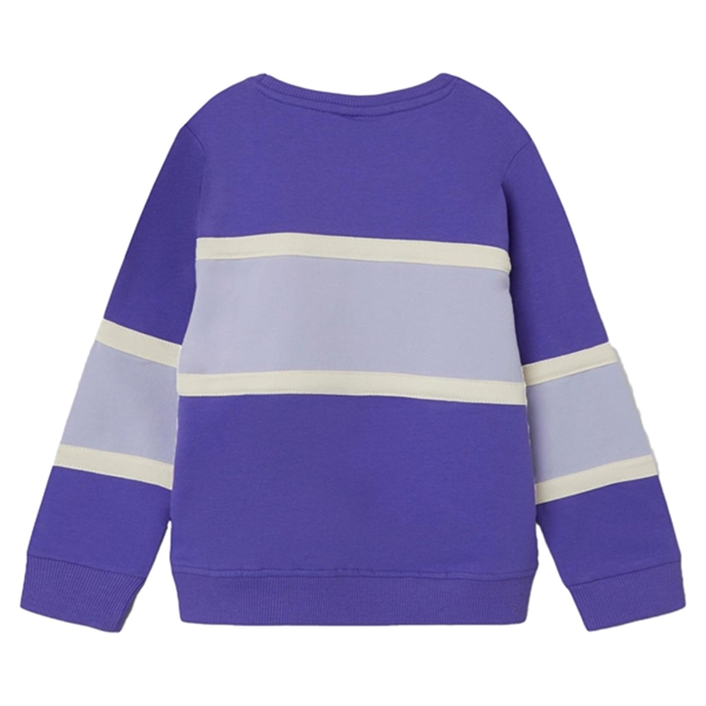 Name it Purple Corallites Barb Sweatshirt