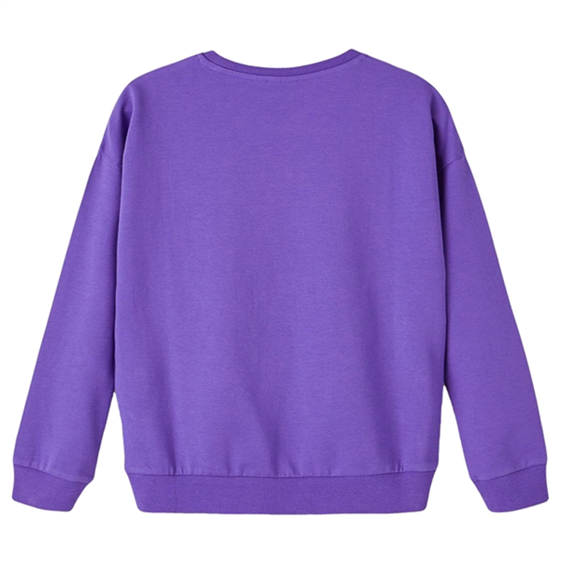 Name it Purple Corallites Bansira Light Sweatshirt