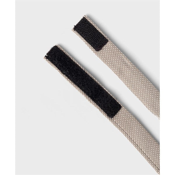 Name it Fungi Frode Butterfly