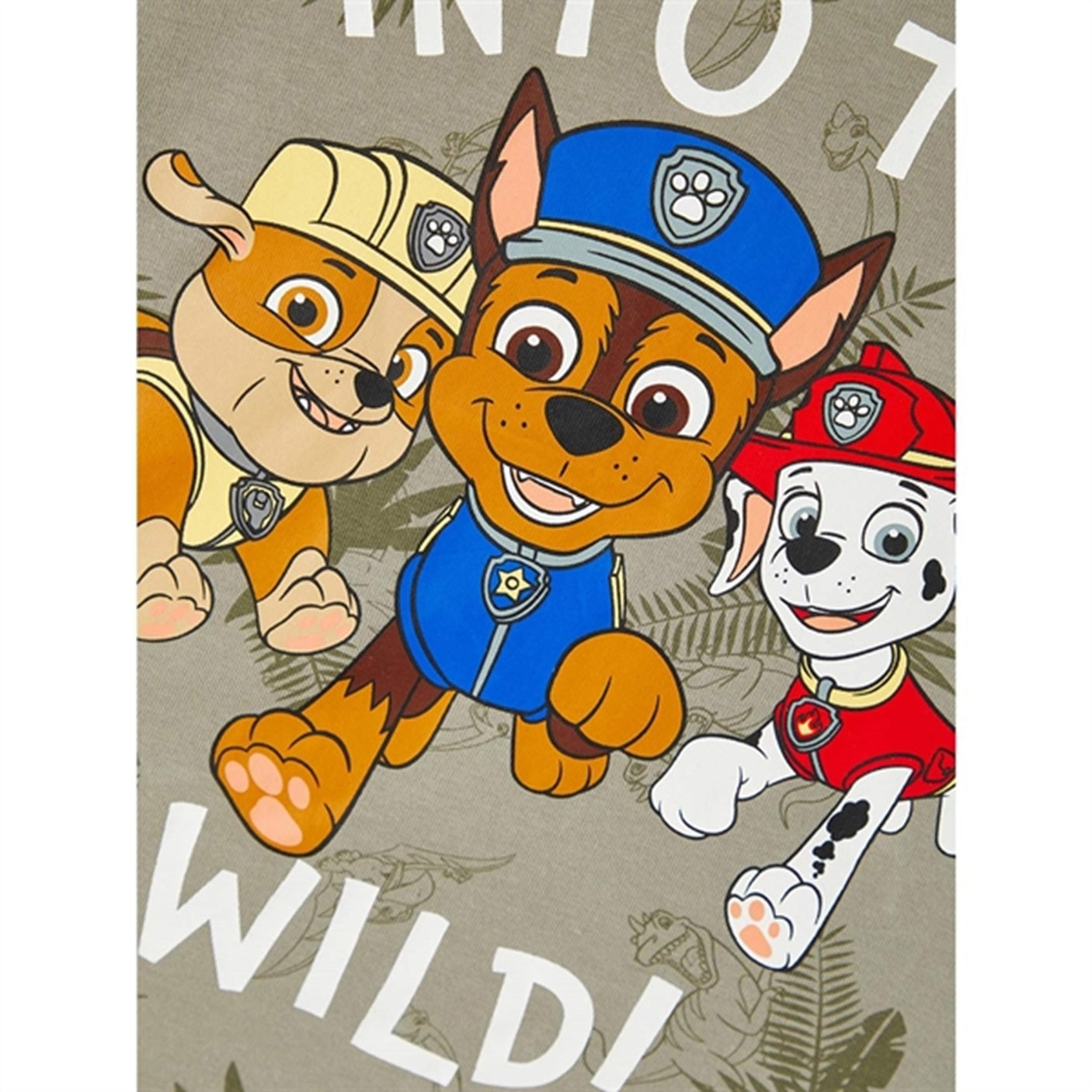 Name it Dried Sage Mont Paw Patrol T-Shirt