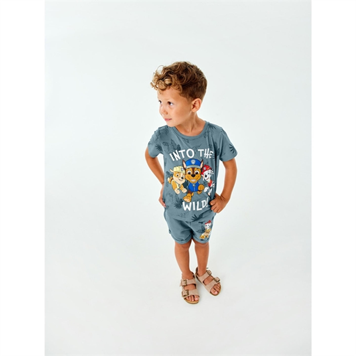 Name it Smoke Blue Mont Paw Patrol T-Shirt