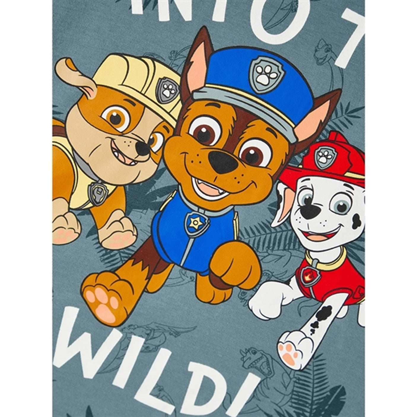 Name it Smoke Blue Mont Paw Patrol T-Shirt