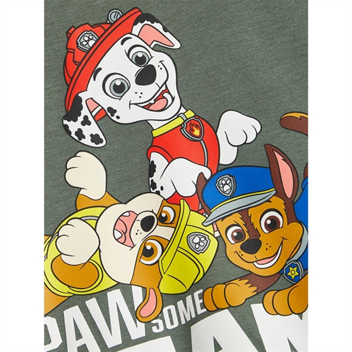 Name it Laurel Wreath Fidus Paw Patrol Sweatshirt