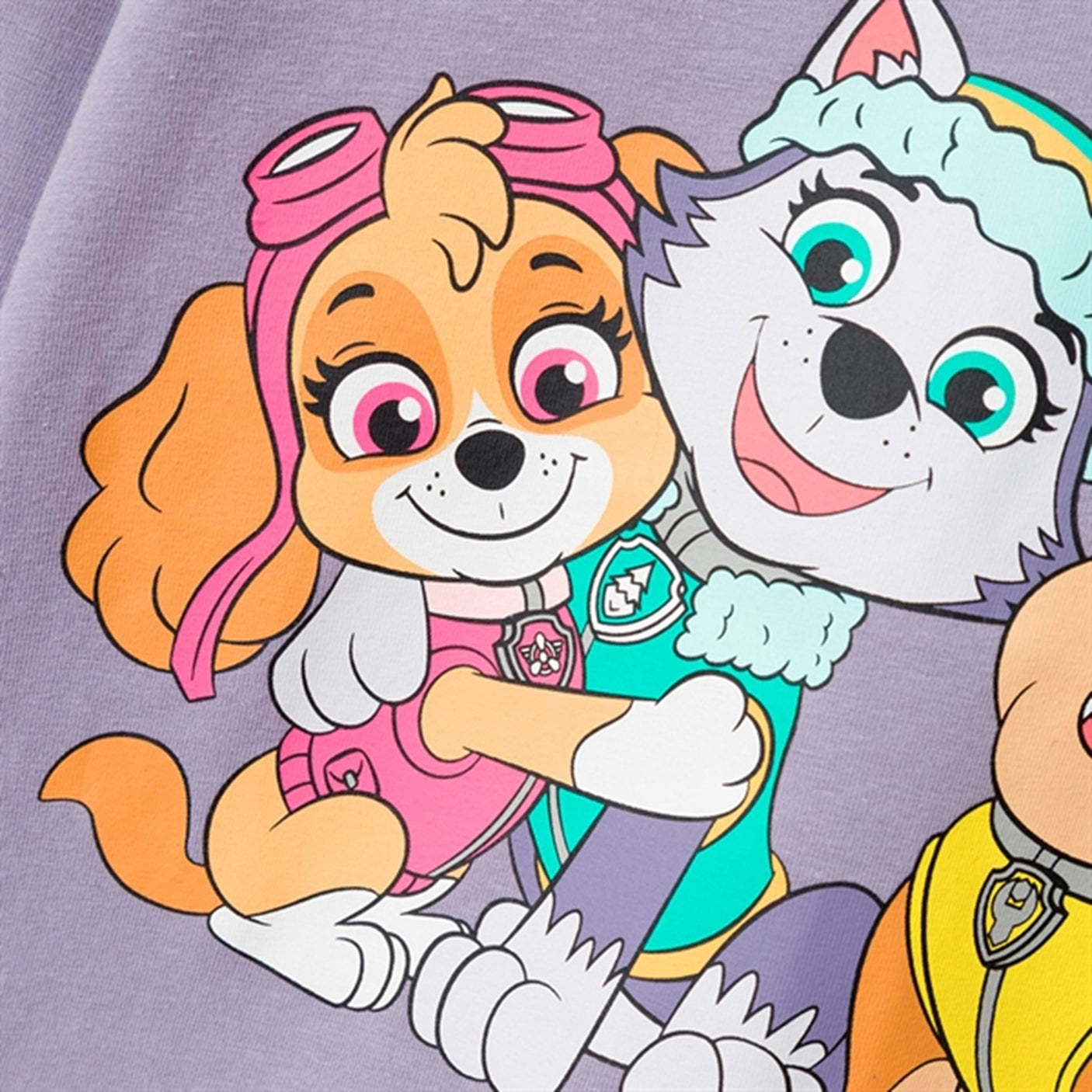 Name it Lavender Gray Jebina Paw Patrol Blouse