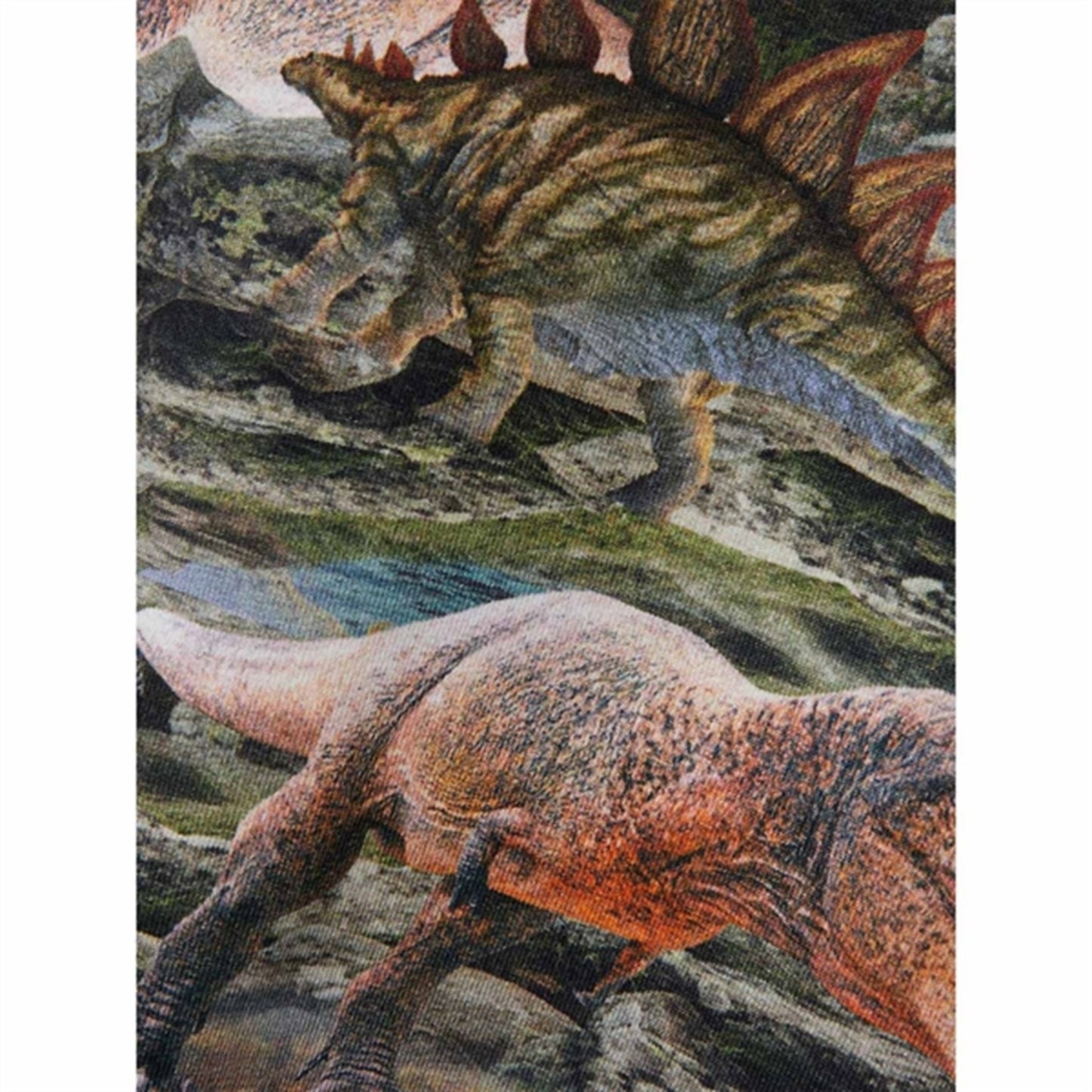 Name it Thyme Hinosaur T-Shirt