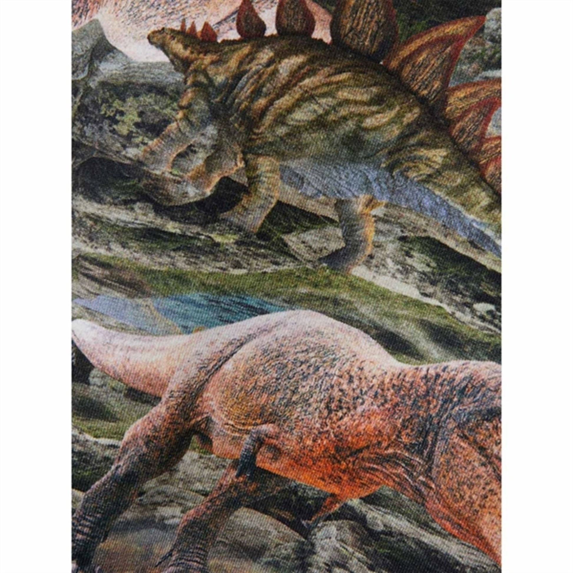 Name it Thyme Hinosaur T-Shirt