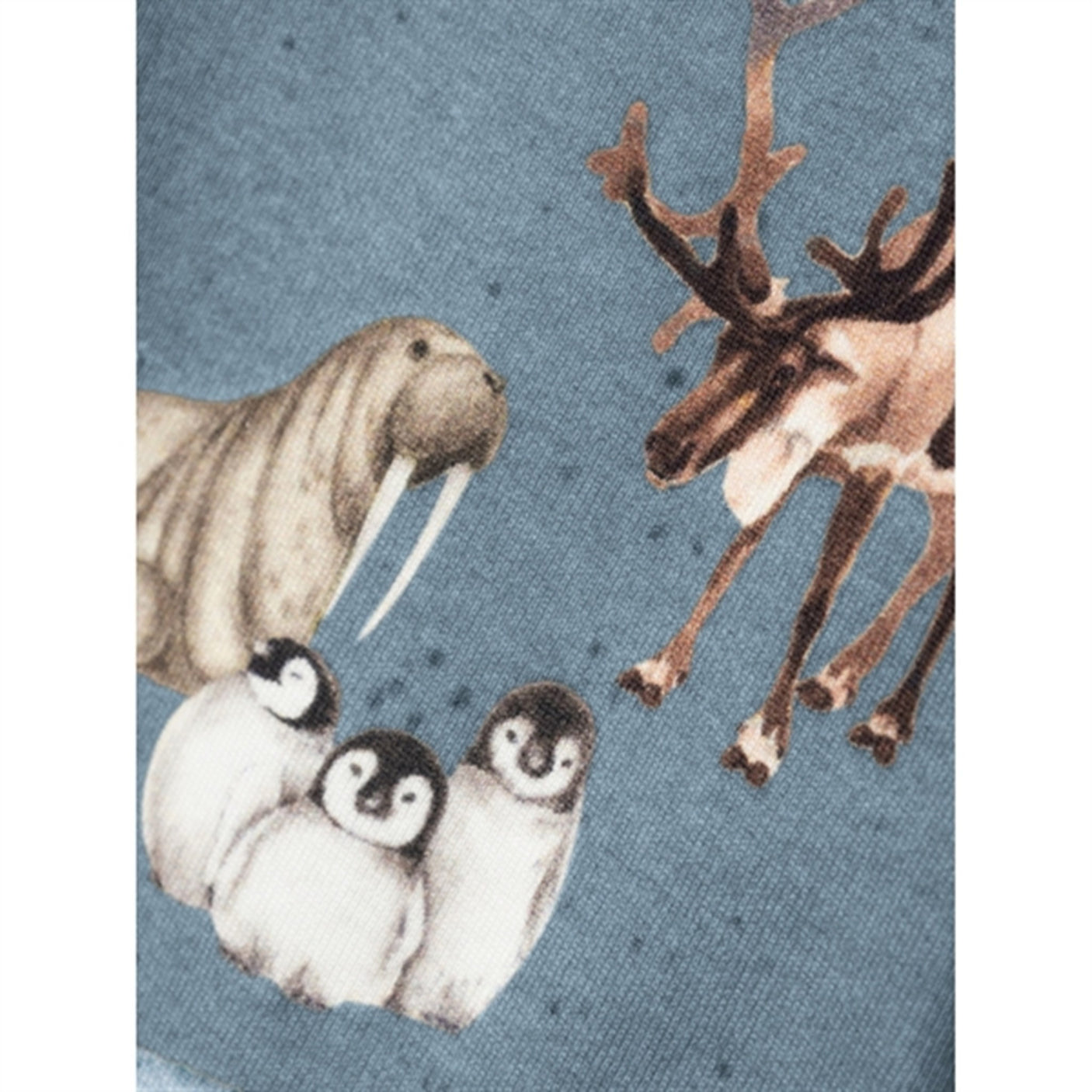 Name it Citadel Sewan Body