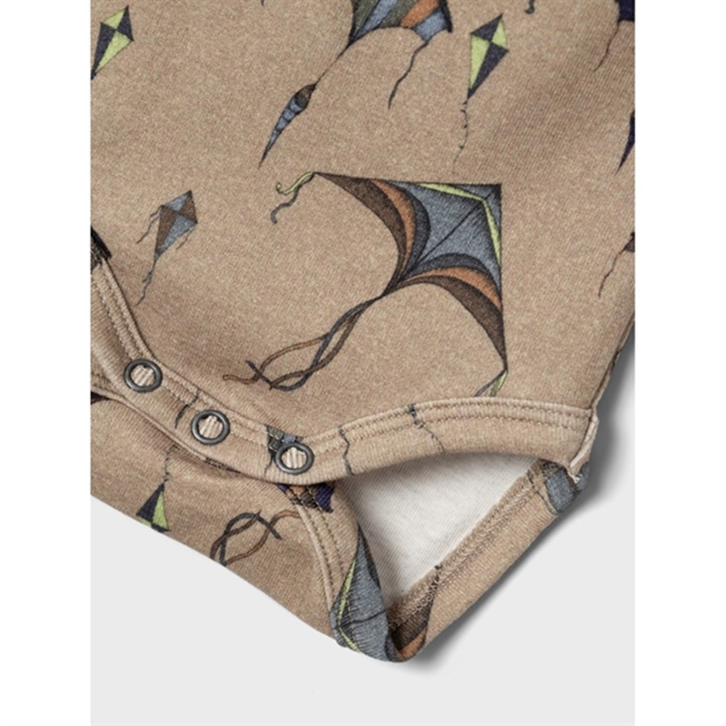 Name it Petrified Oak Dineus Body