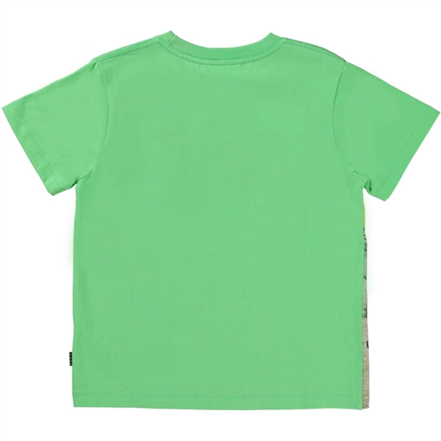Molo Colourful Dinos Rame T-shirt