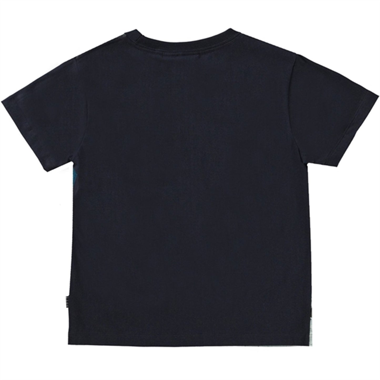 Molo Sunset Surfer Rame T-Shirt