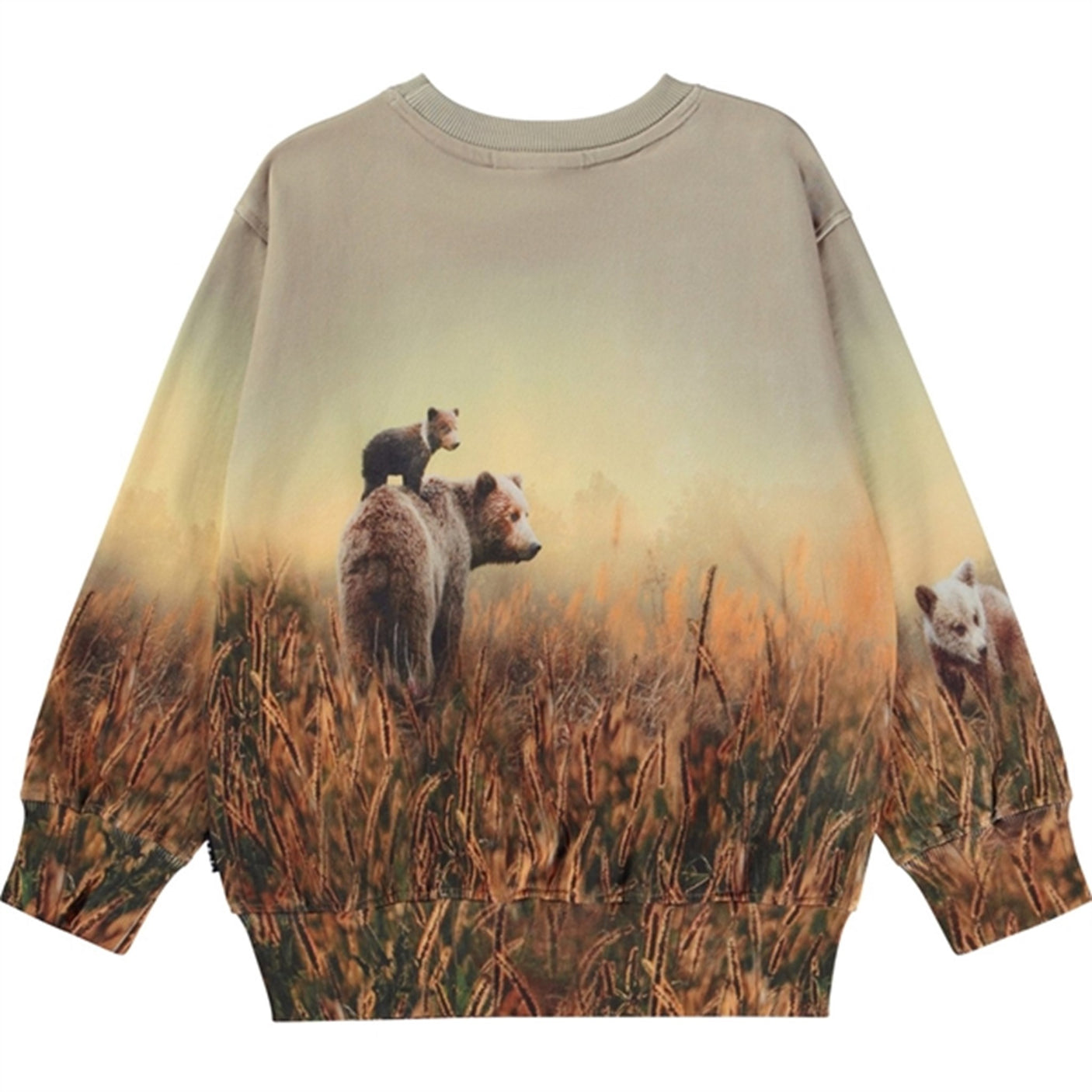 Molo Bear Life Mattis Sweatshirt
