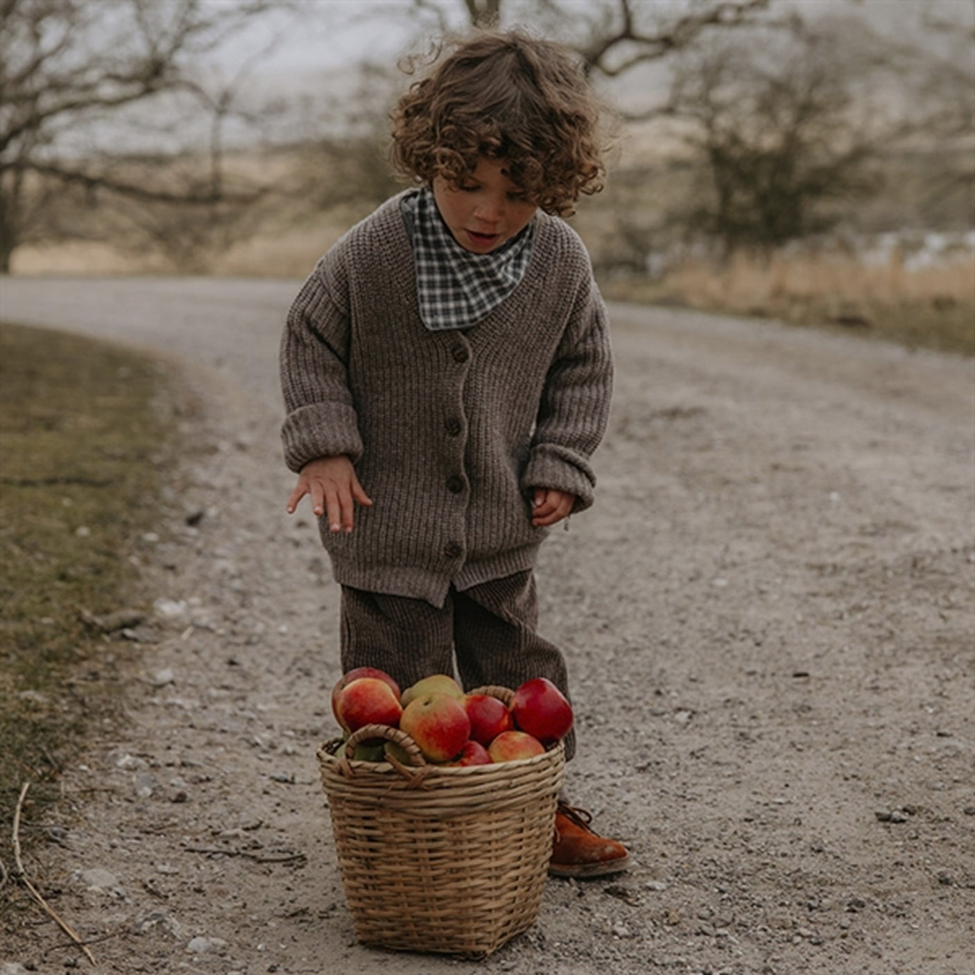 lalaby Winter Check Eddie Scarf