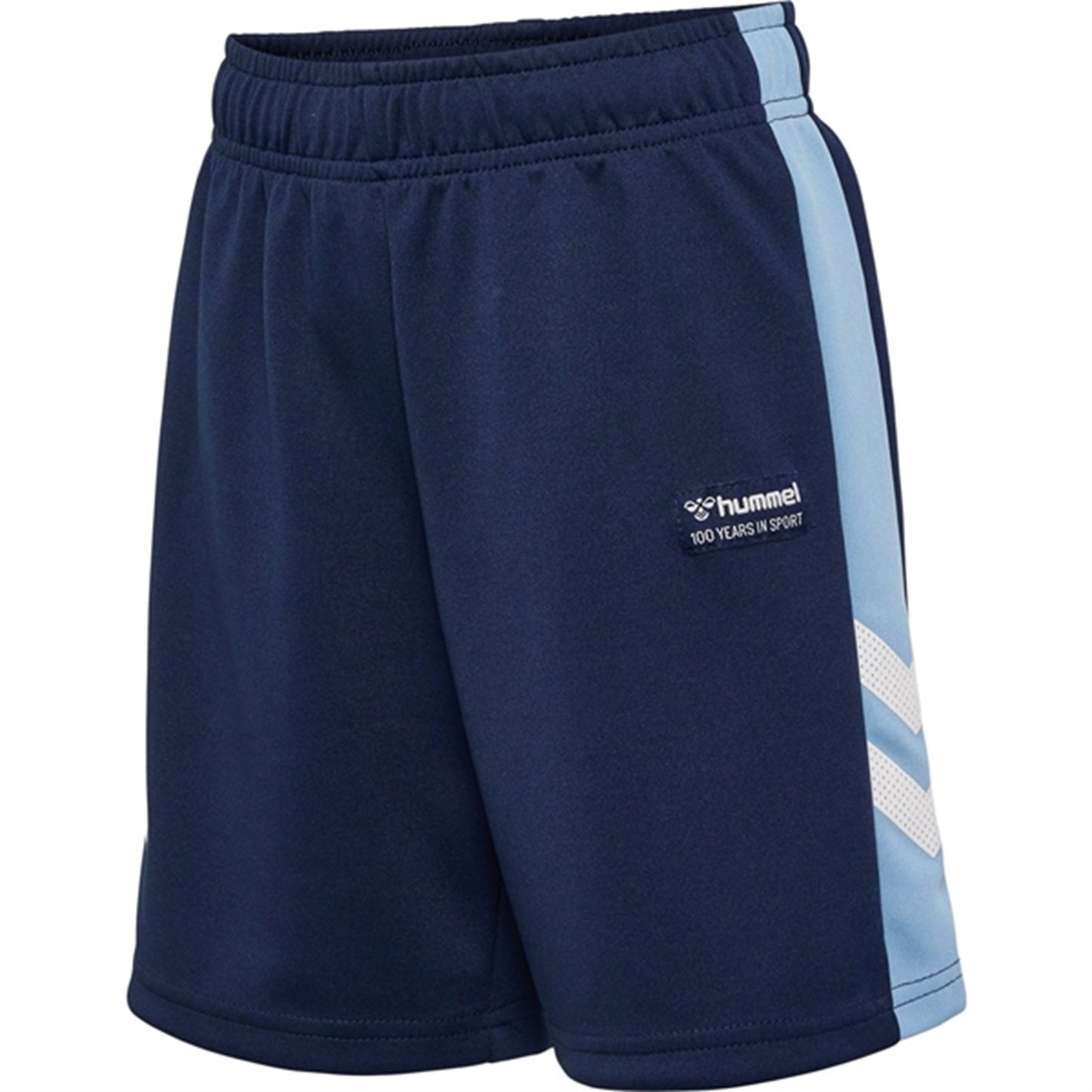 Hummel Black Iris Ruphus Shorts
