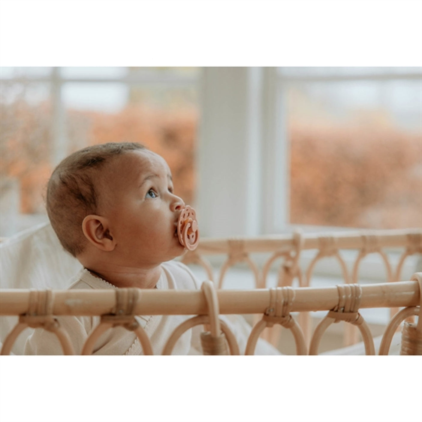 Bibs Boheme Latex Pacifier 2-pack Woodchuck/Blush