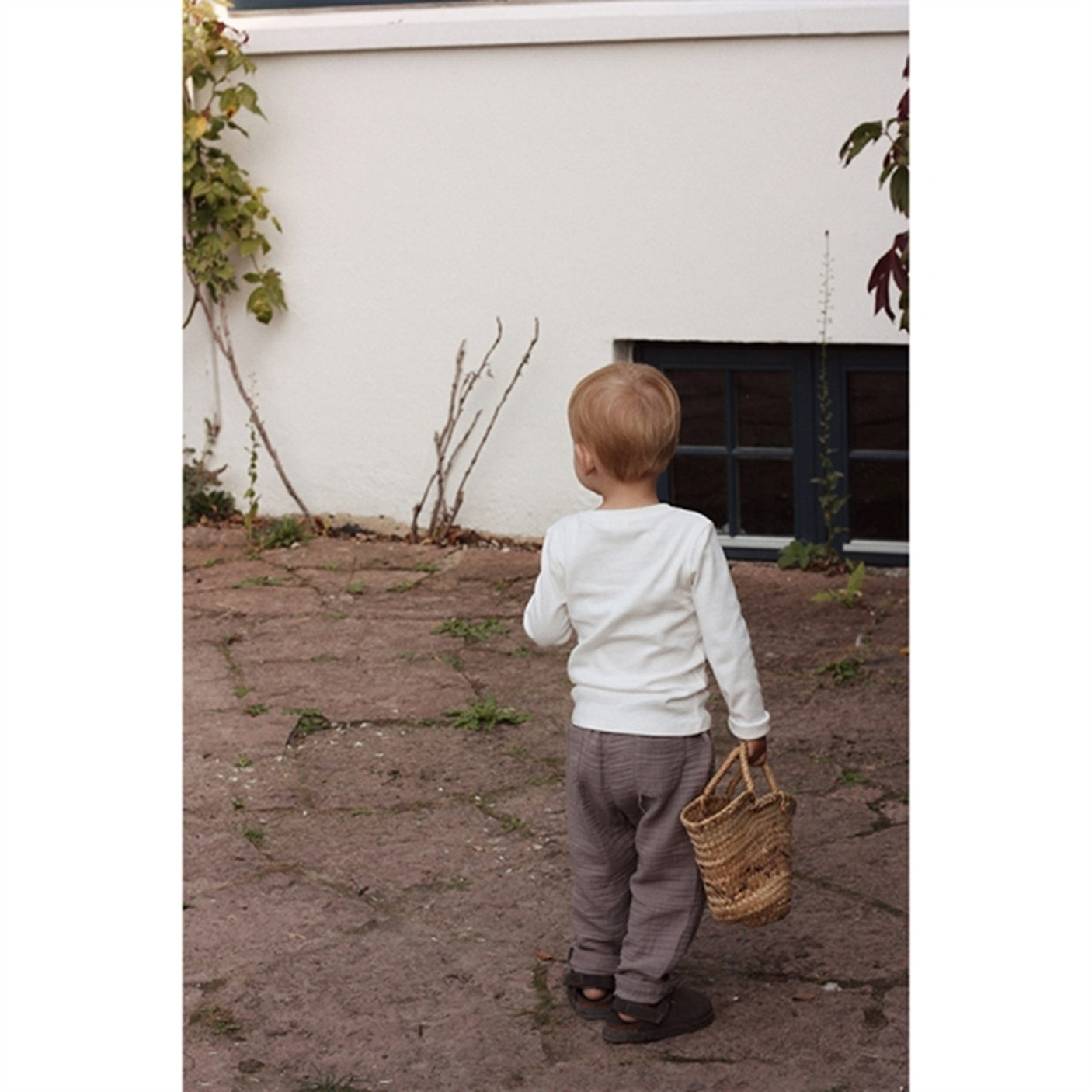 lalaby Feather Charlie Pants