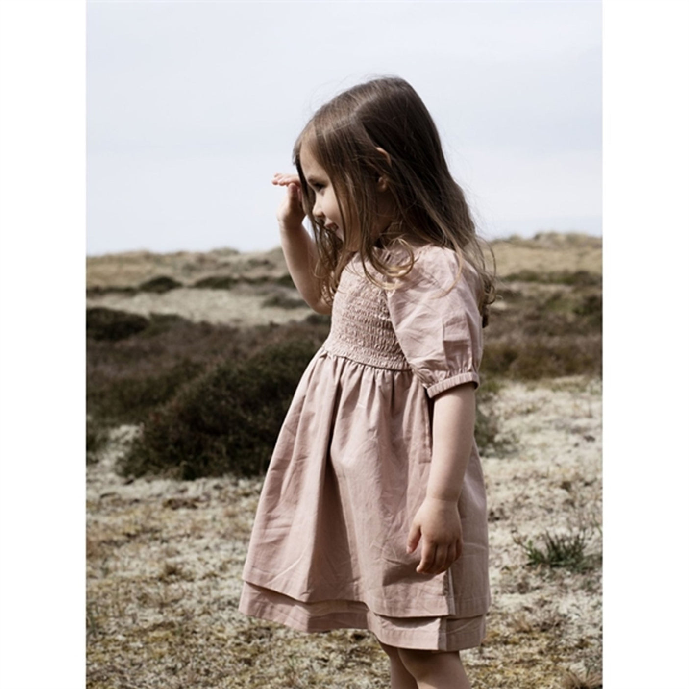 Serendipity Almond Smock Dress