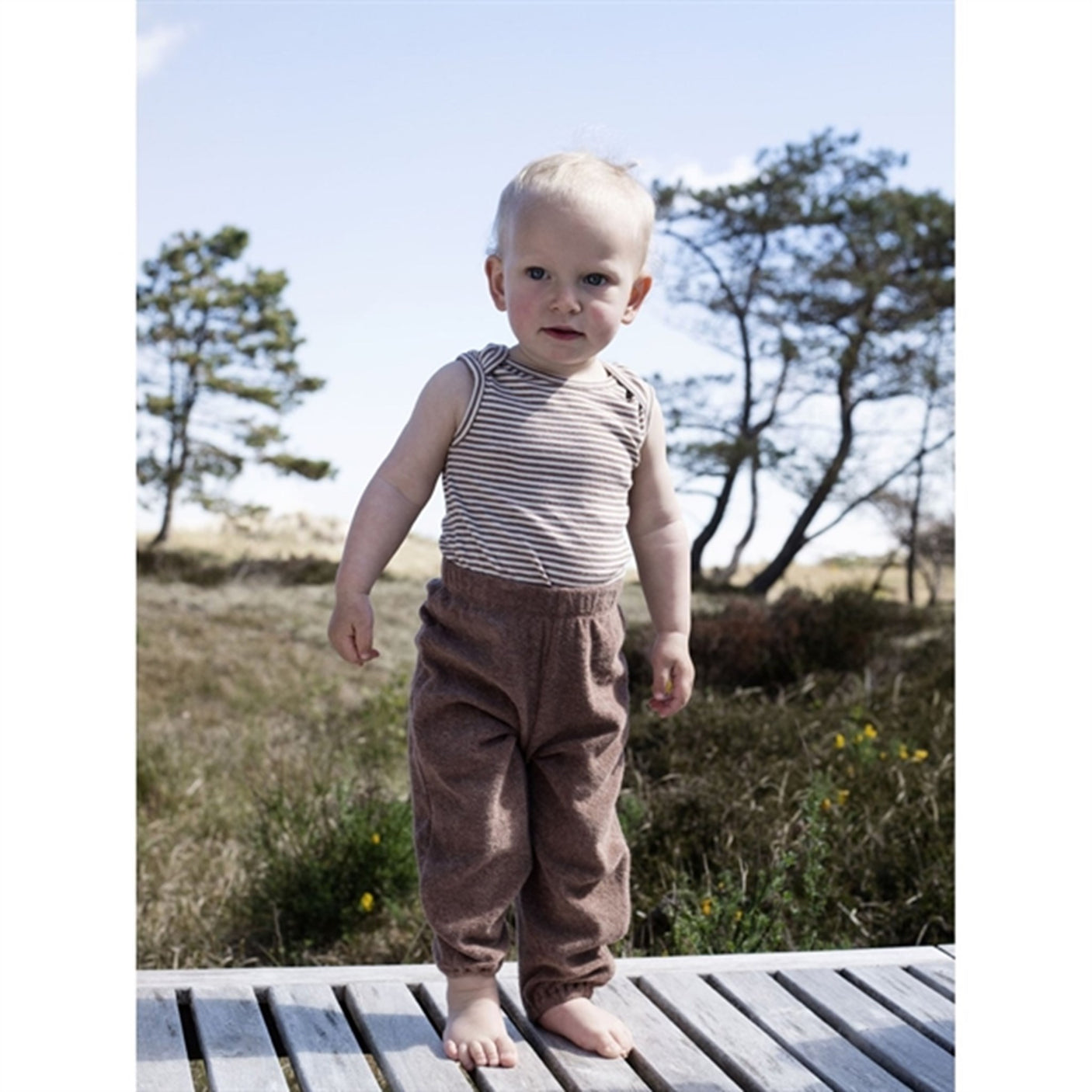 Serendipity Acorn Baby Terry Pants