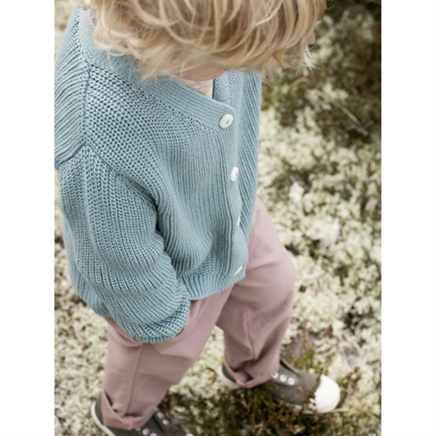 Serendipity Redwood Casual Pants