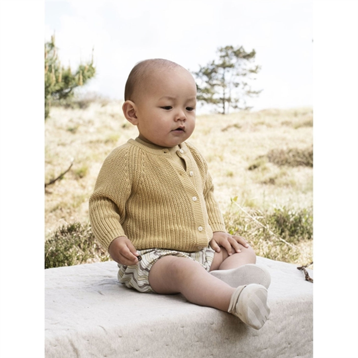 Serendipity Misty Stripes Baby Bloomers