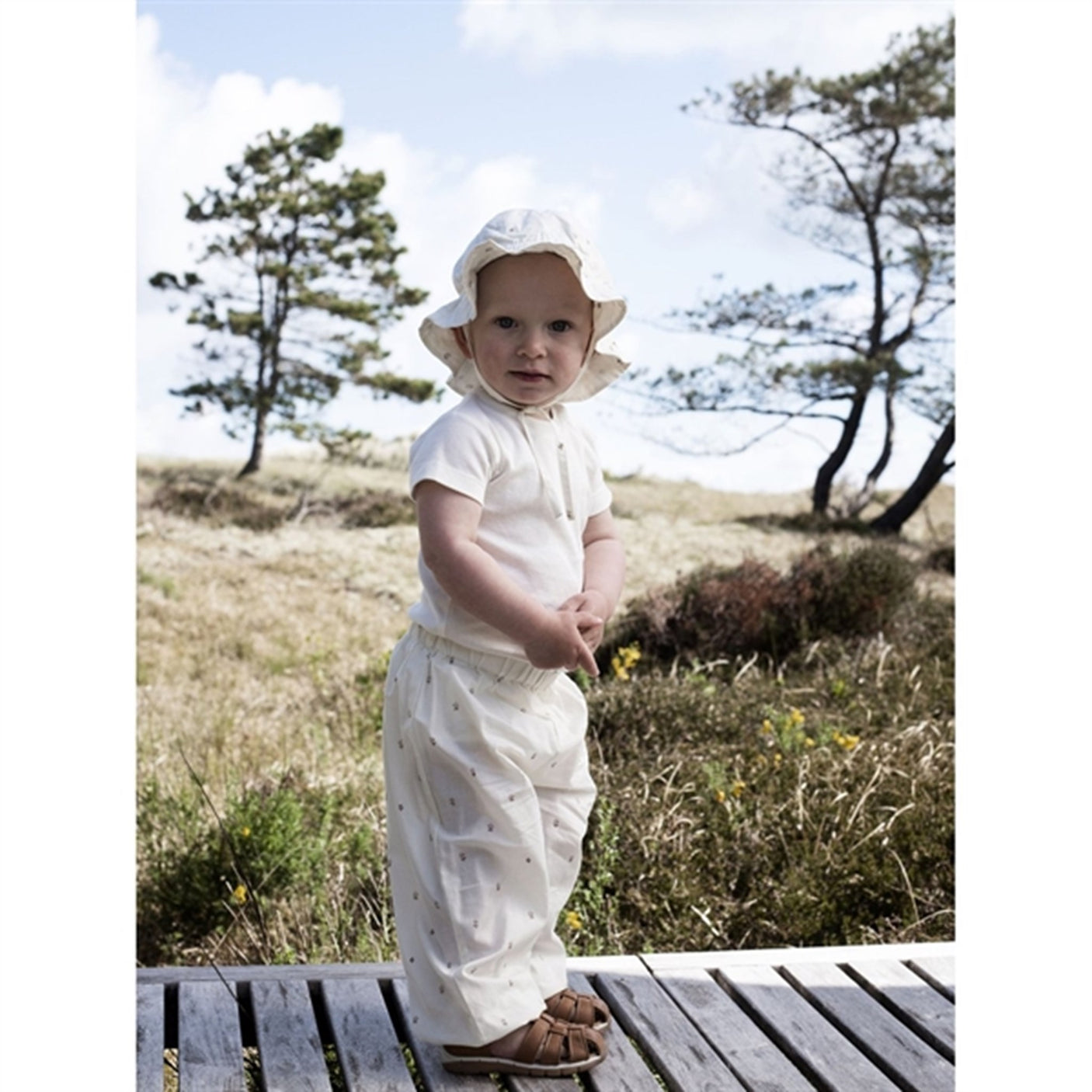 Serendipity Aster Sunhat