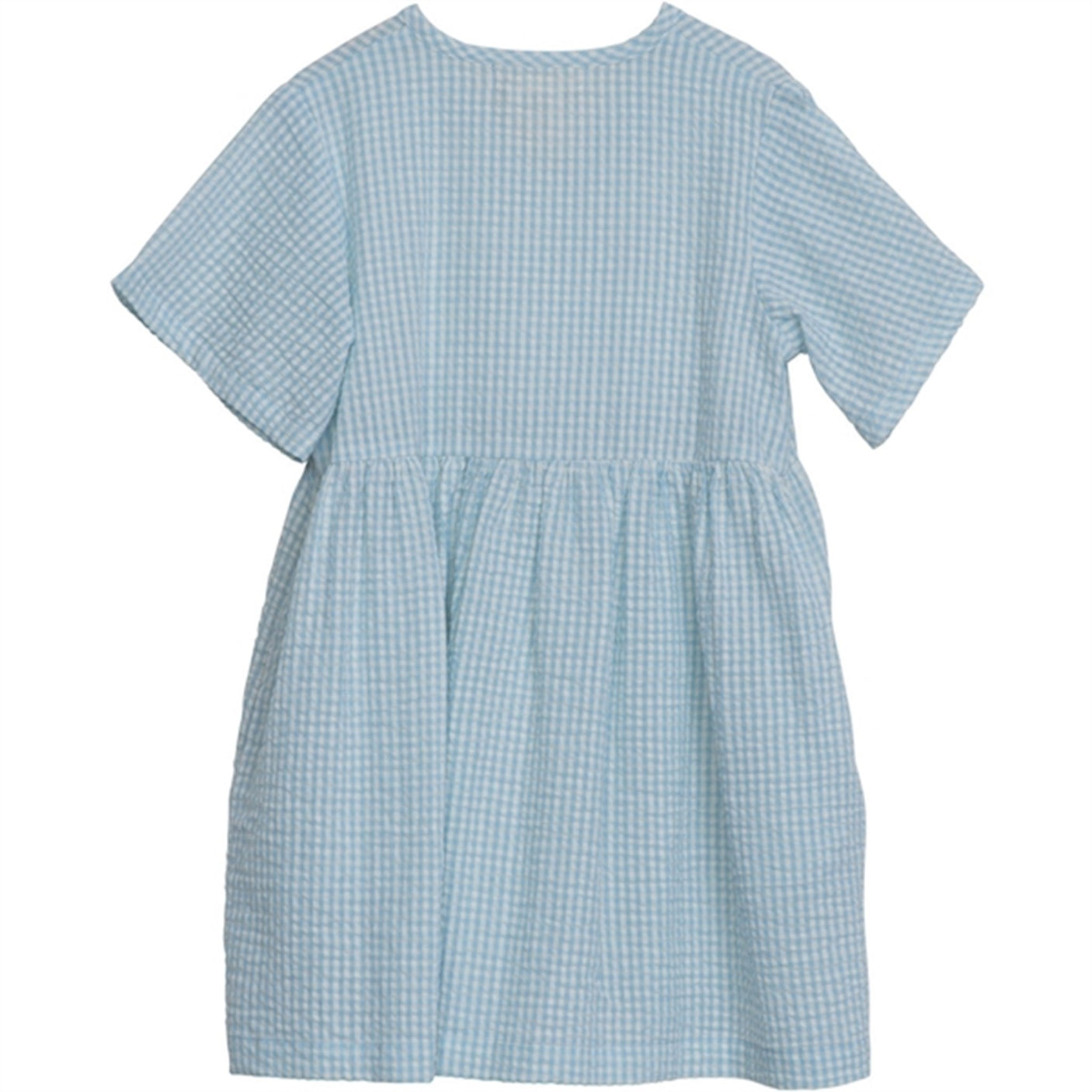 Serendipity Aquachecks Dress