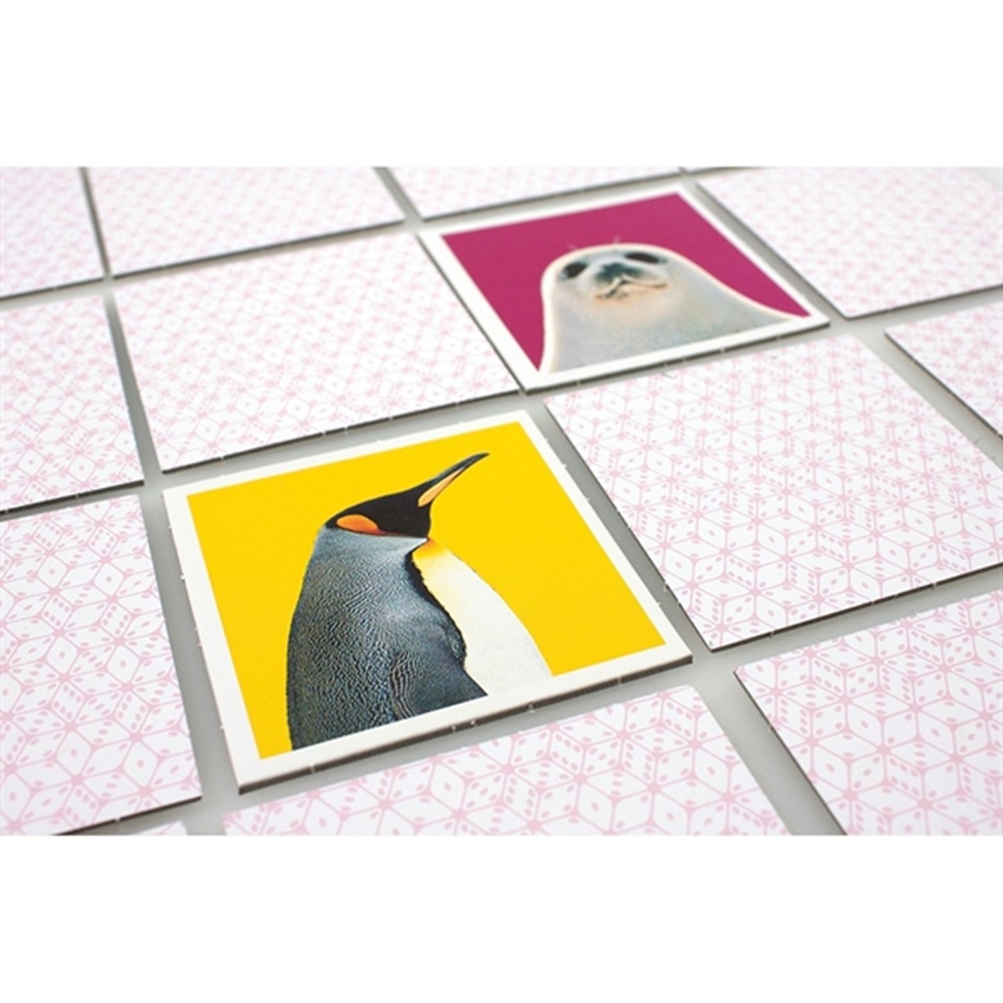 Tactic Games Memo Wild Animals