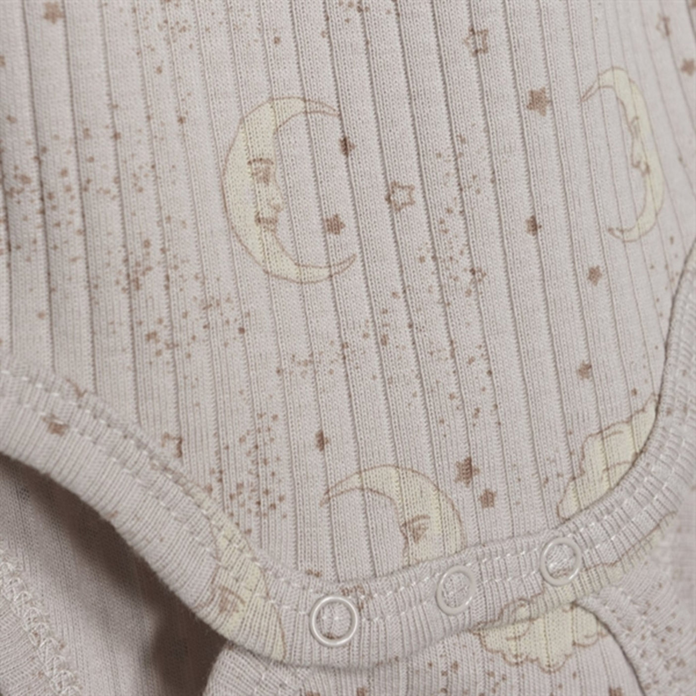 FIXONI Mushroom Body LS Rib