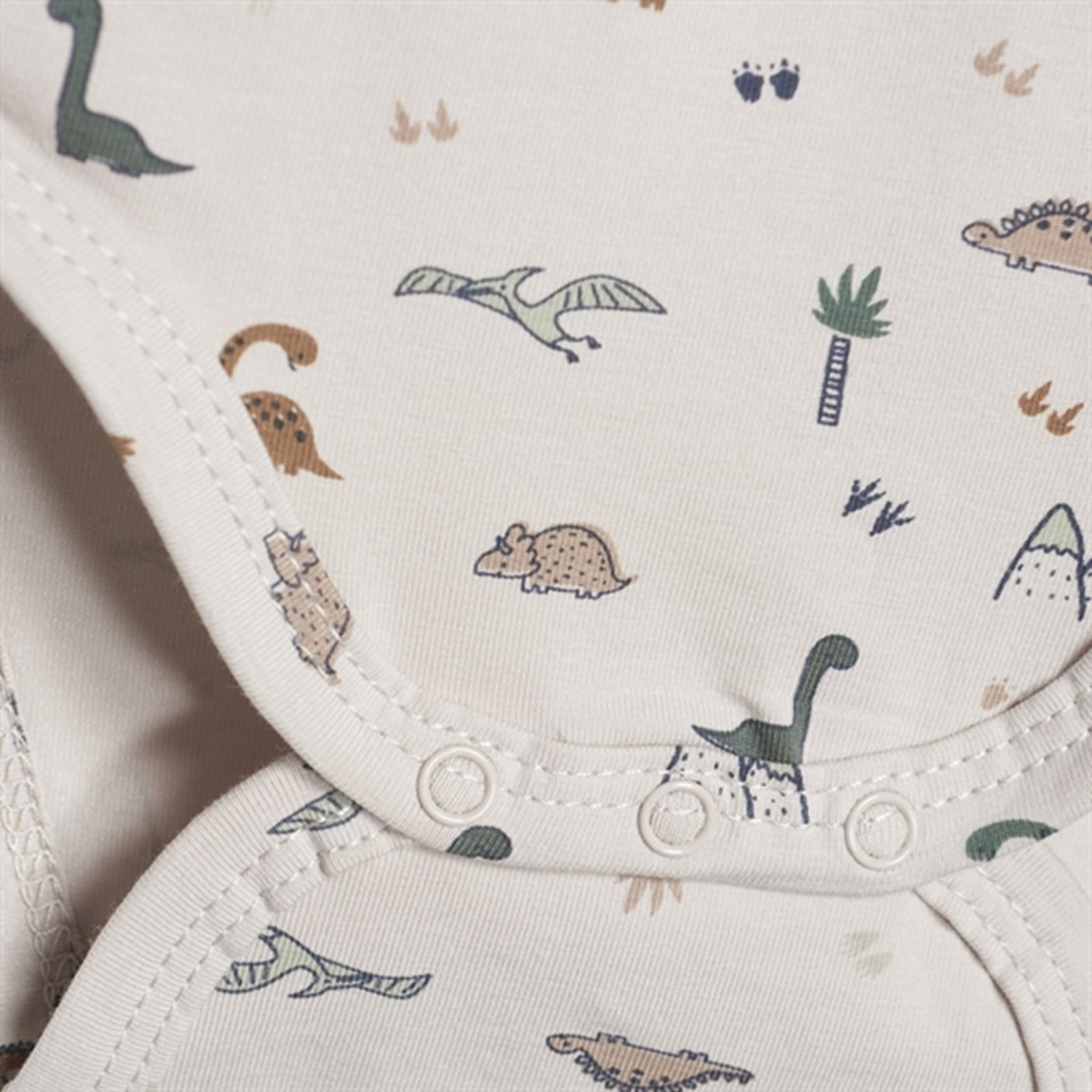 FIXONI Mushroom Body LS