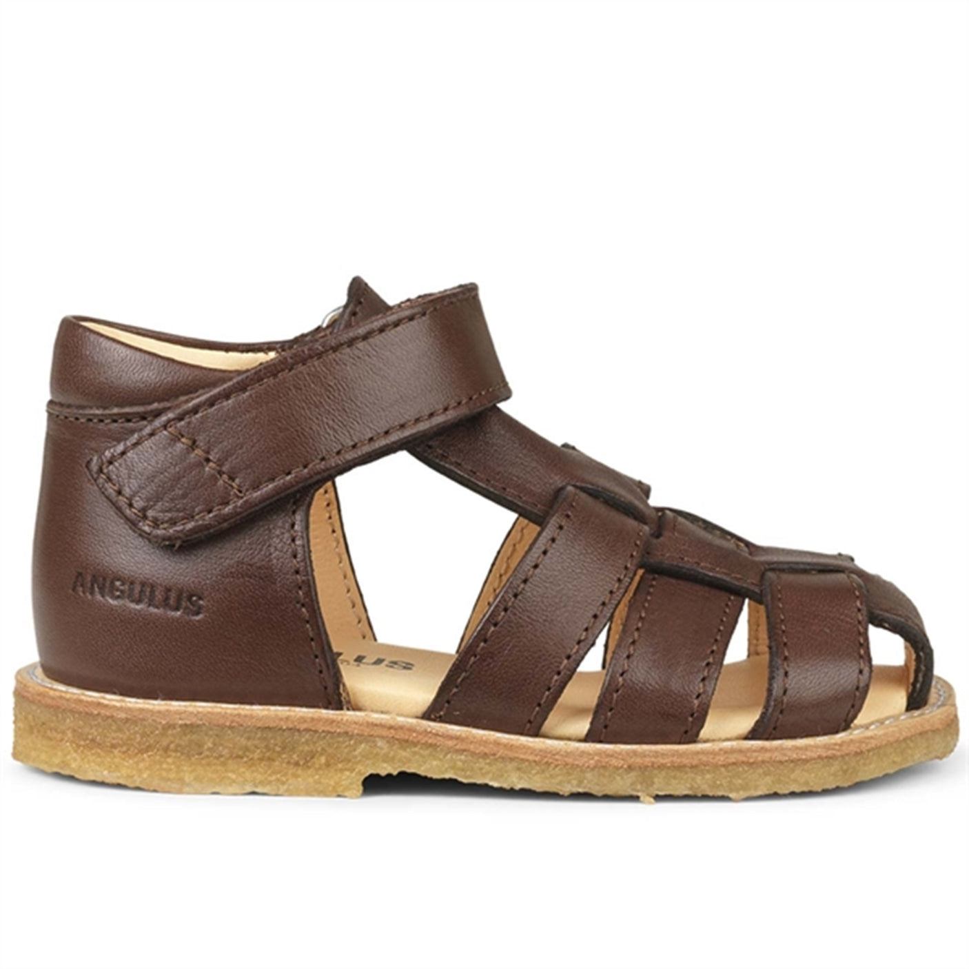 Angulus Starter Sandal w. Velcro Dark Brown