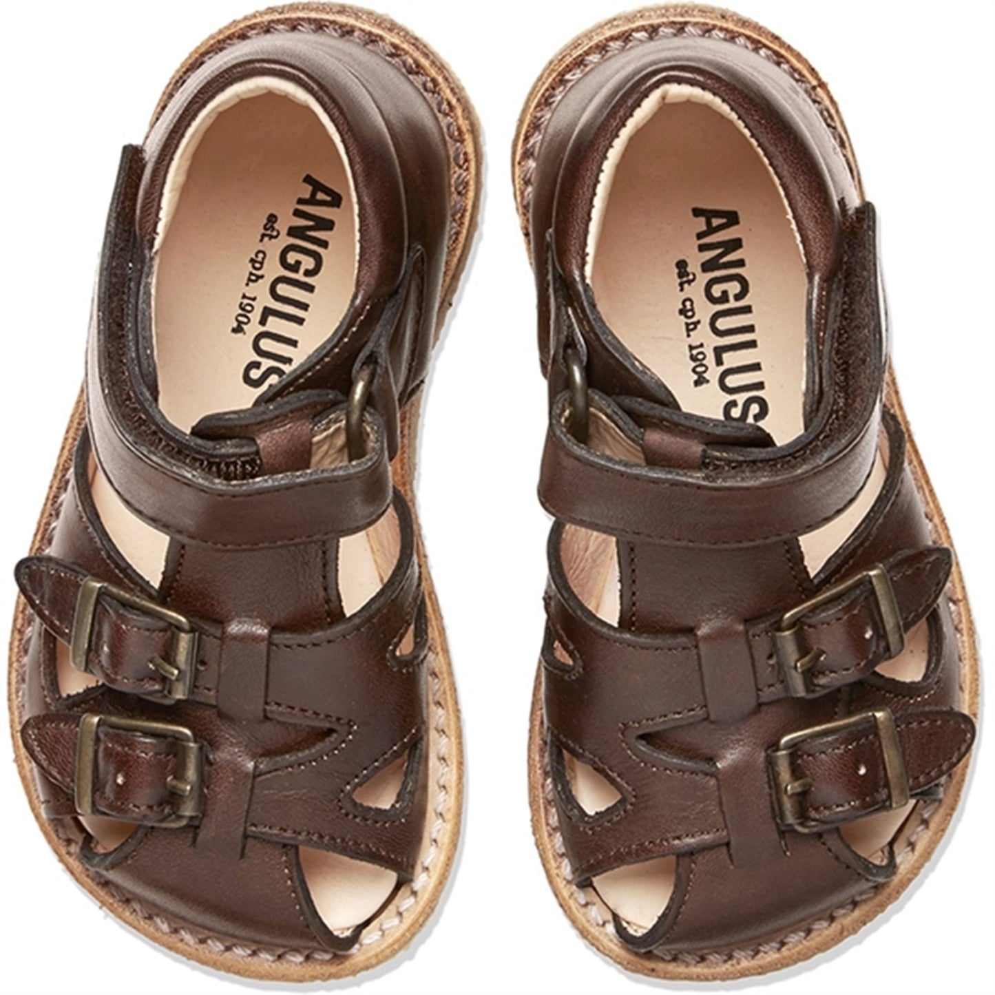Angulus Starter Sandal W. Velcro And Buckles Dark Brown
