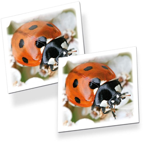 Tactic Games Memo Bugs