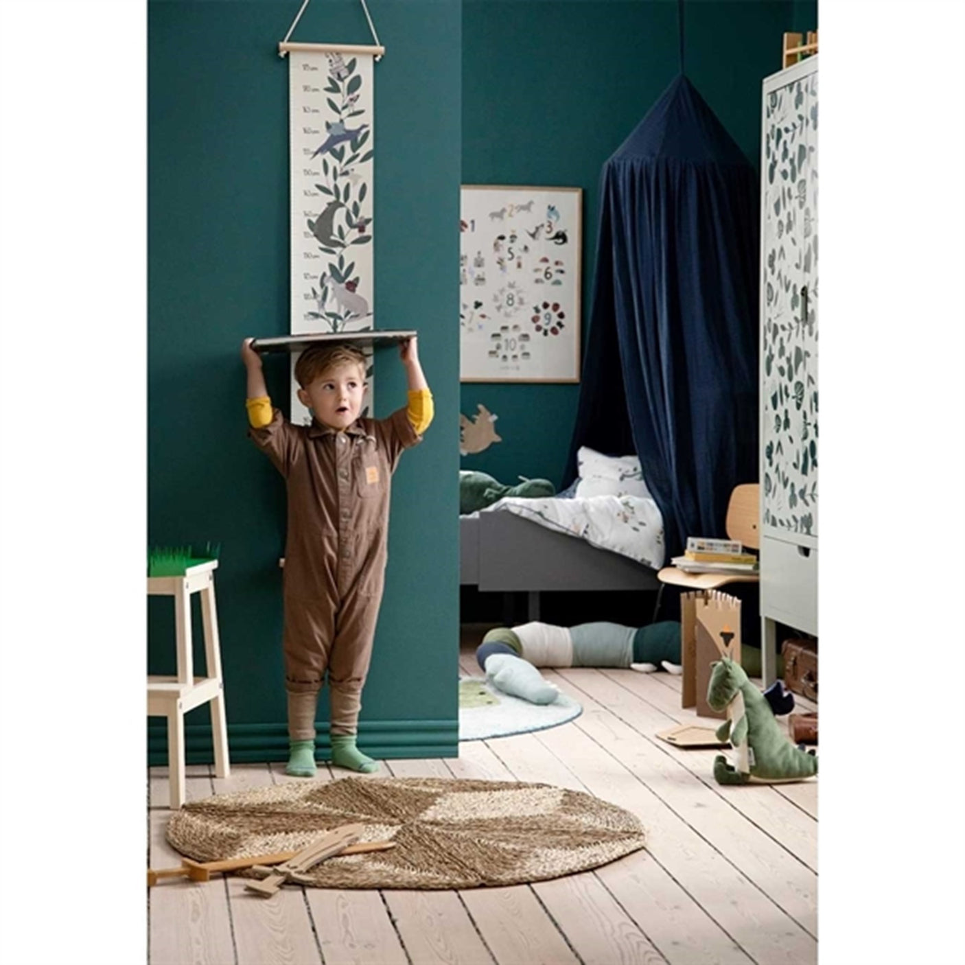 Sebra Height Measurement Dragon Tales 2