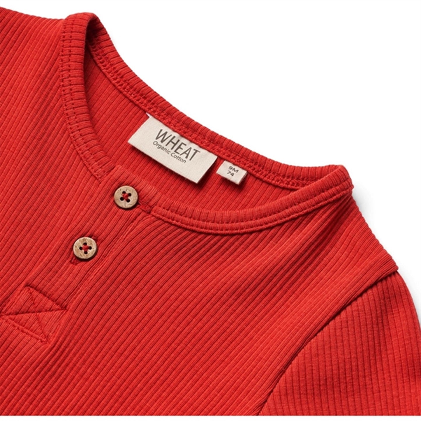 Wheat Red Body Benny