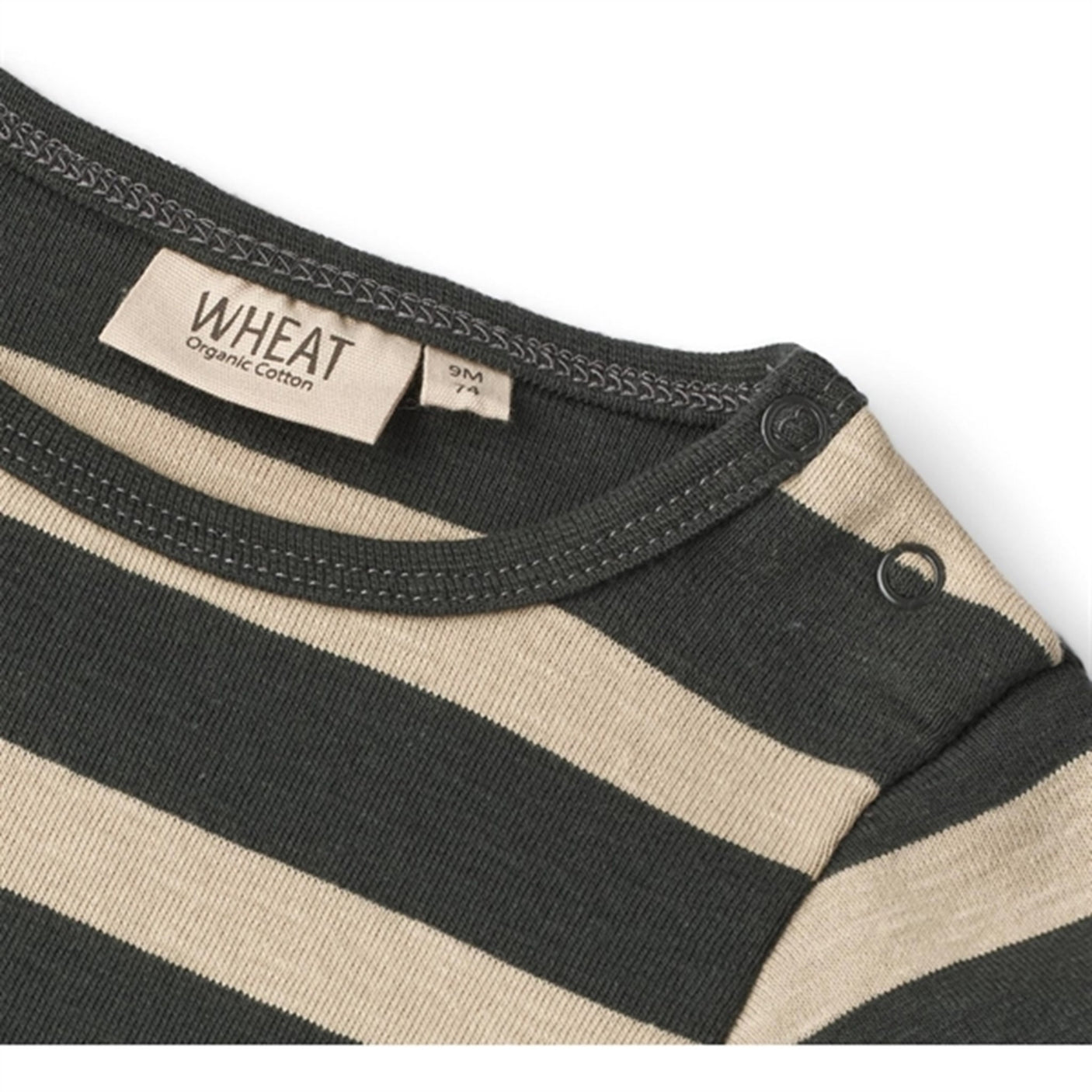 Wheat Dark Stripe Body Freddie