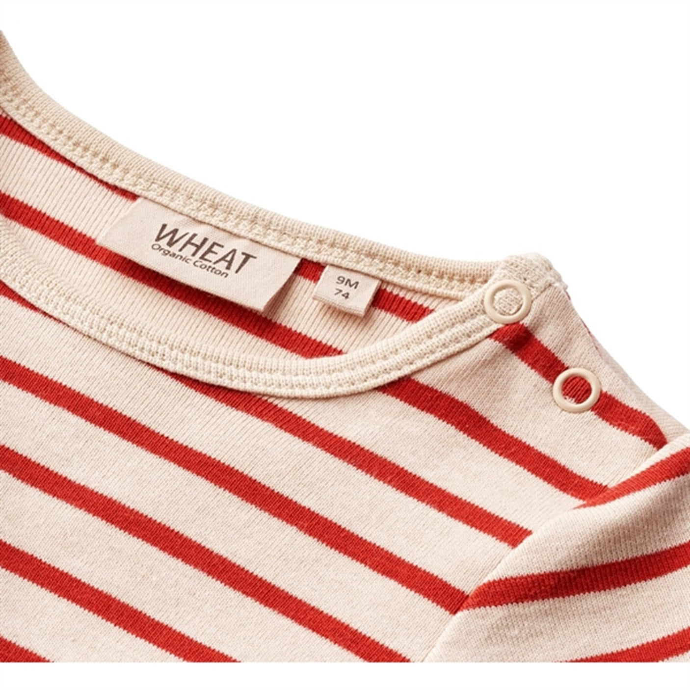 Wheat Red Stripe Body Berti