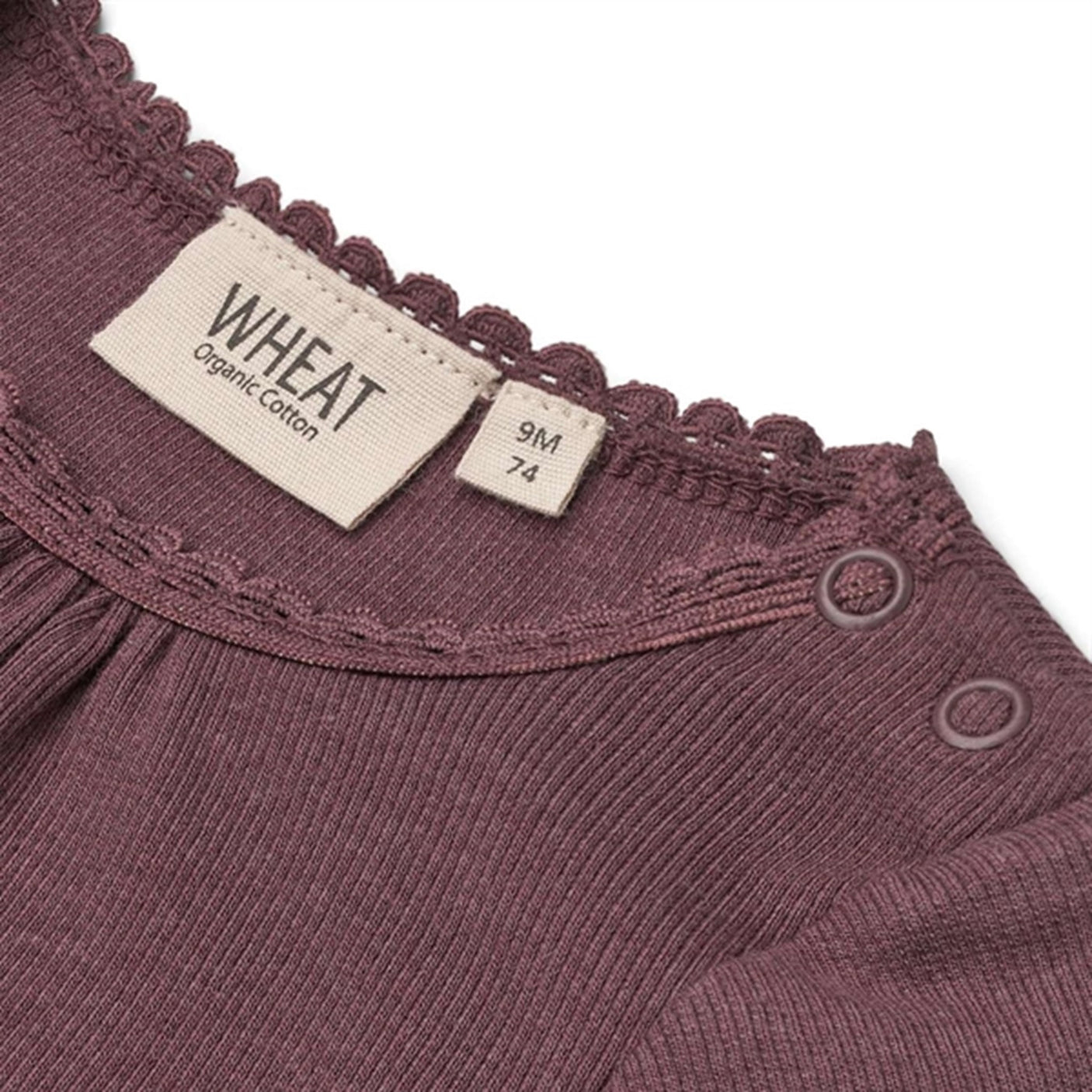 Wheat Soft Eggplant Rib Lace Body
