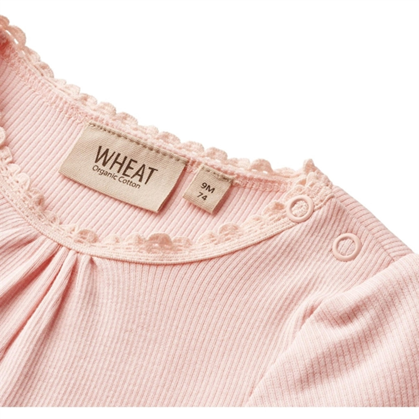 Wheat Rose Ballet Rib Body Lotta