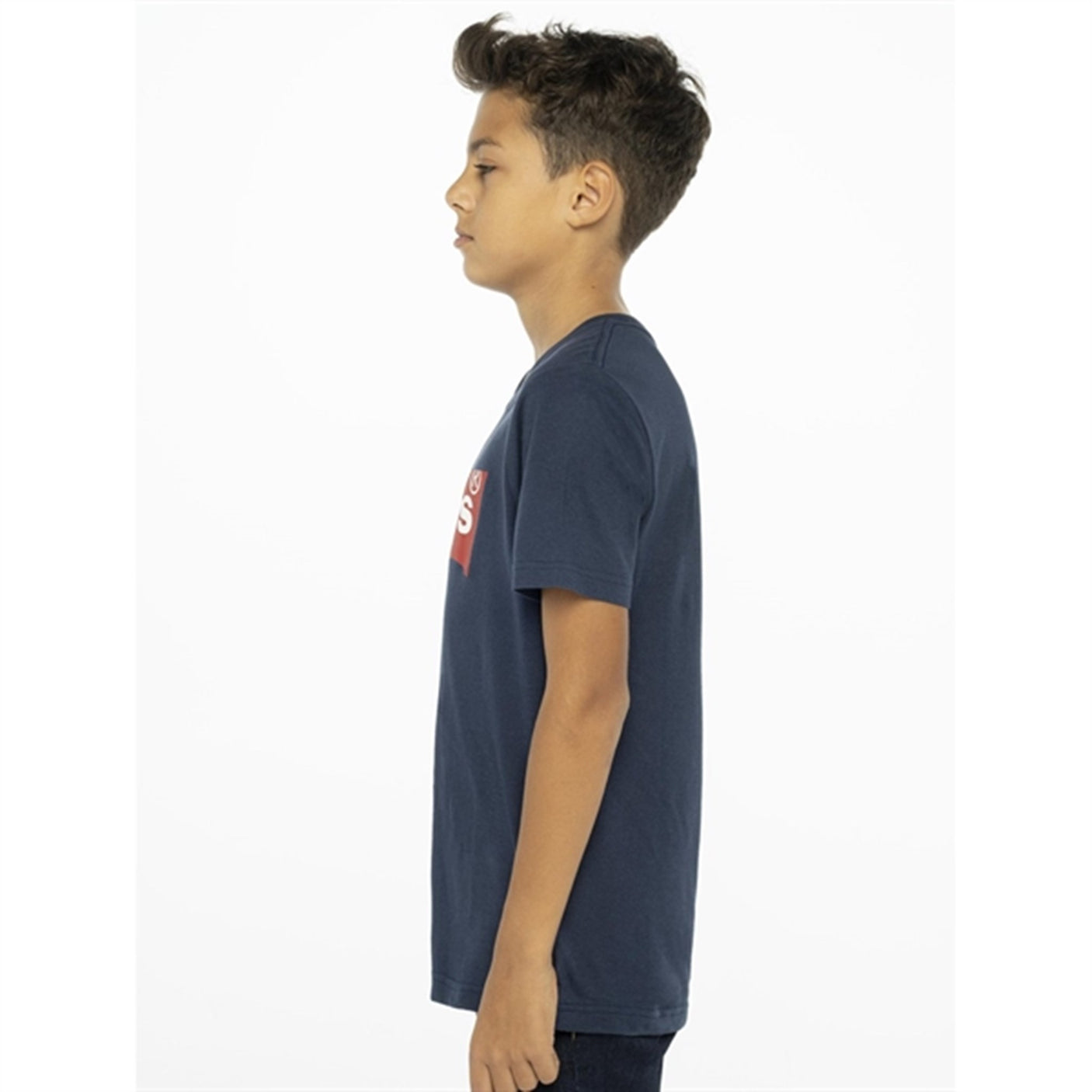 Levi's Graphic Batwing T-Shirt Dress Blues