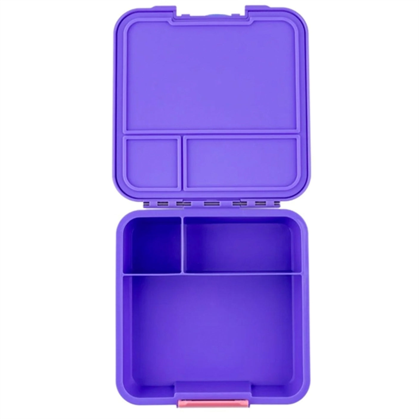 Little Lunch Box Co Bento 3 Lunch Box Grape 4