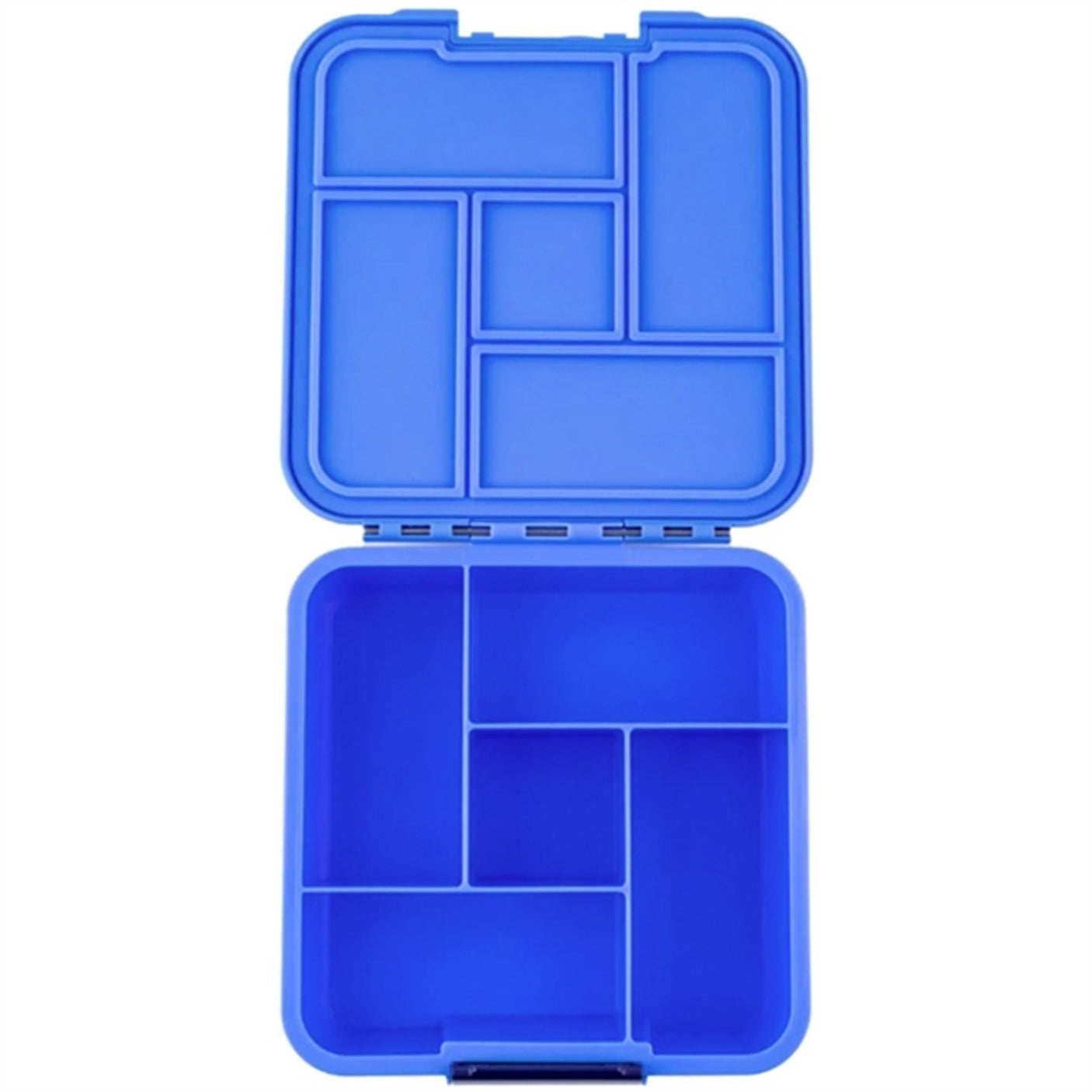 Little Lunch Box Co Bento 5 Lunch Box Blueberry 3