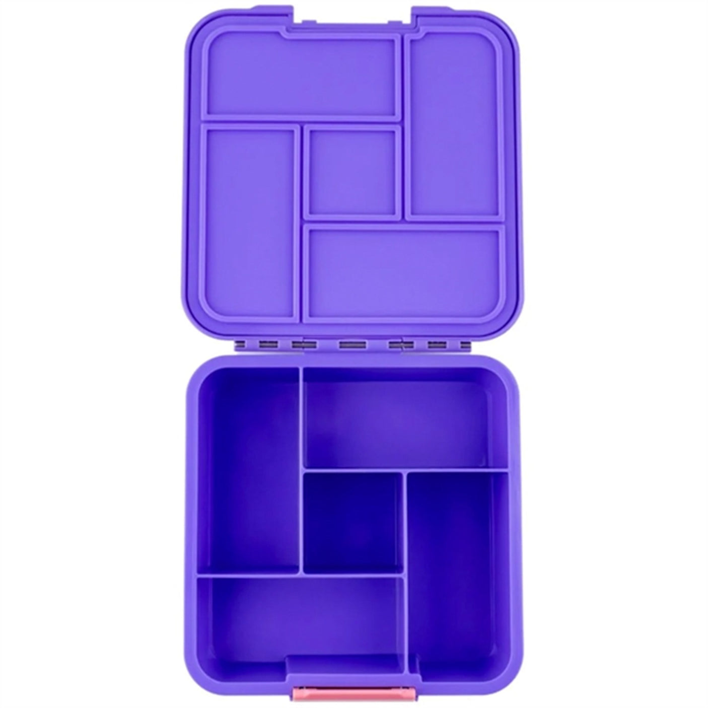 Little Lunch Box Co Bento 5 Lunch Box Grape 4