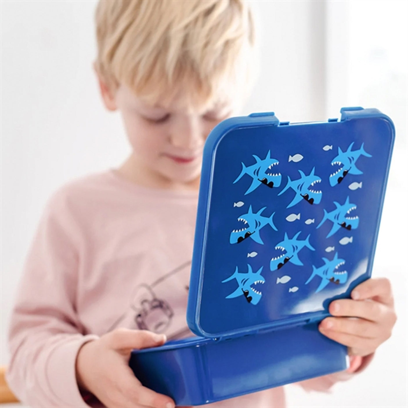 Little Lunch Box Co Bento 5 Lunch Box Shark 4