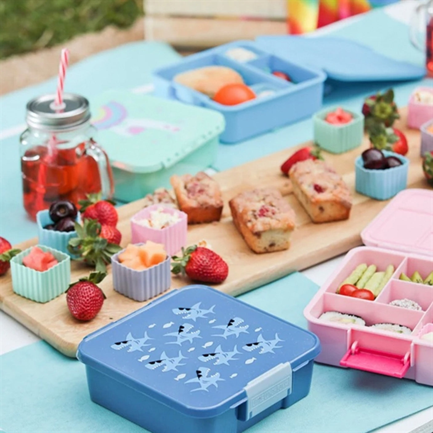 Little Lunch Box Co Bento 5 Lunch Box Shark 2