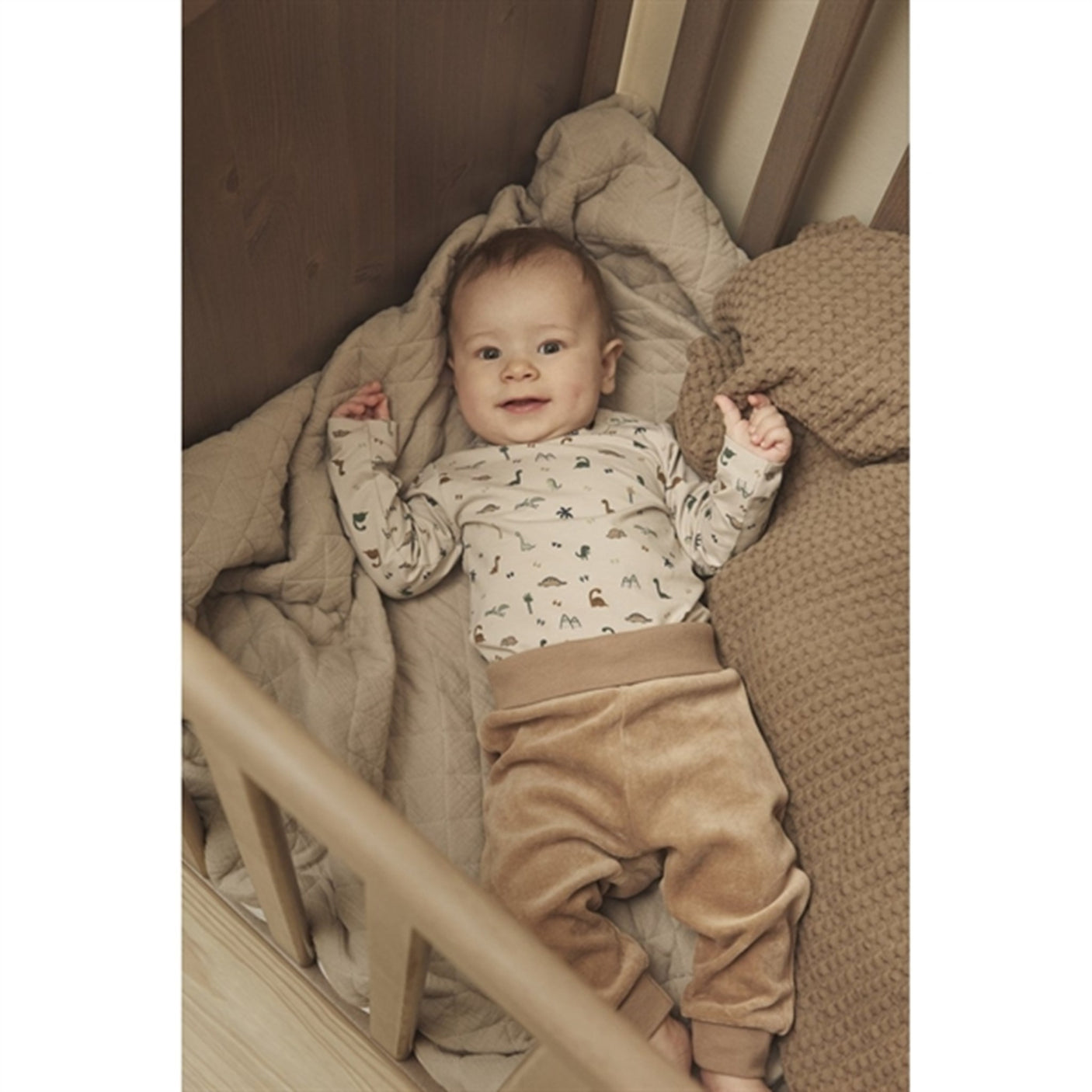 FIXONI Mushroom Body LS