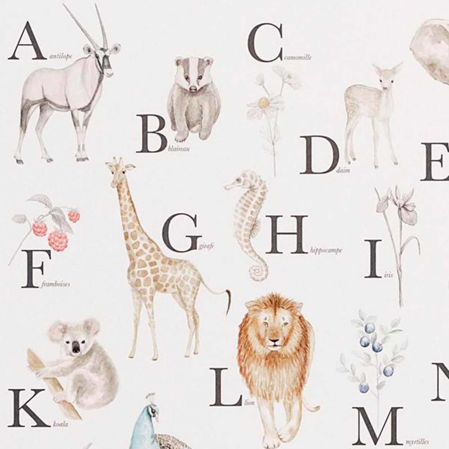 Cam Cam Copenhagen Alphabet Poster French